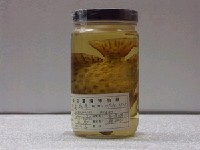 藏品(金錢魚)的圖片